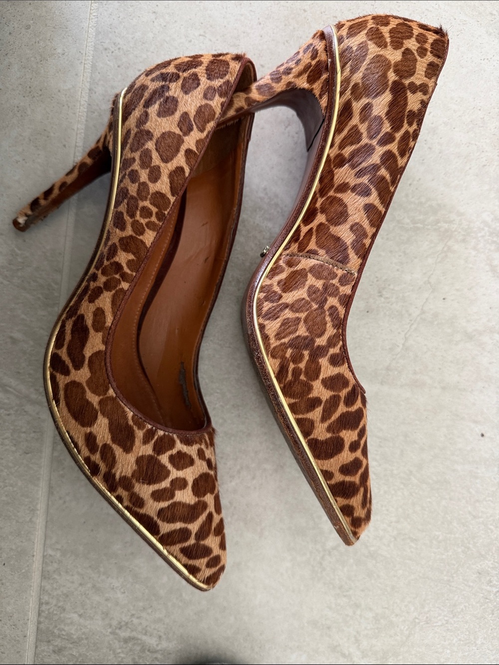 SCHUTZ Hair-Calf Leopard Print Pointed Toe Heels with Gold Trim